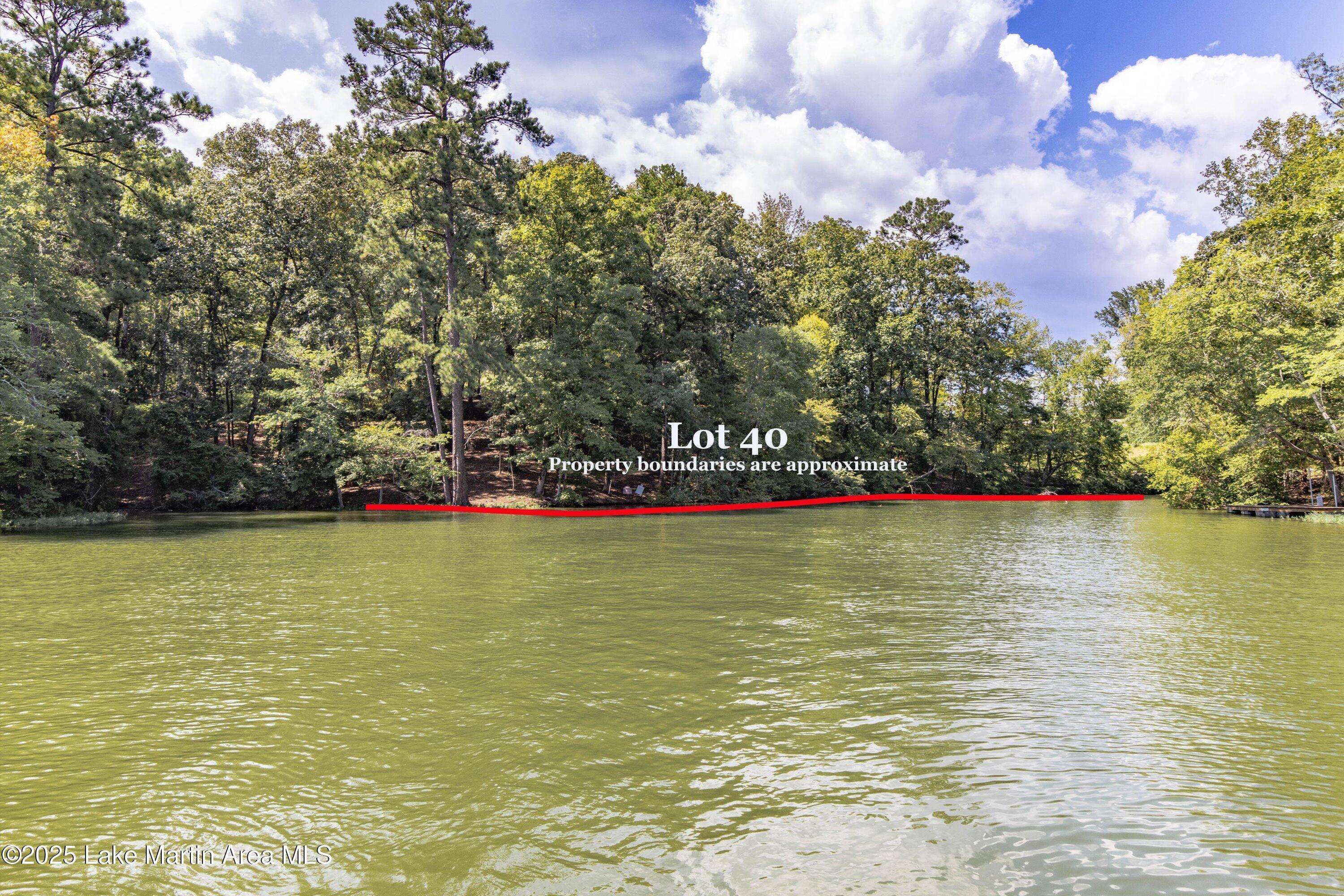 Image 1: 13-Lot 40