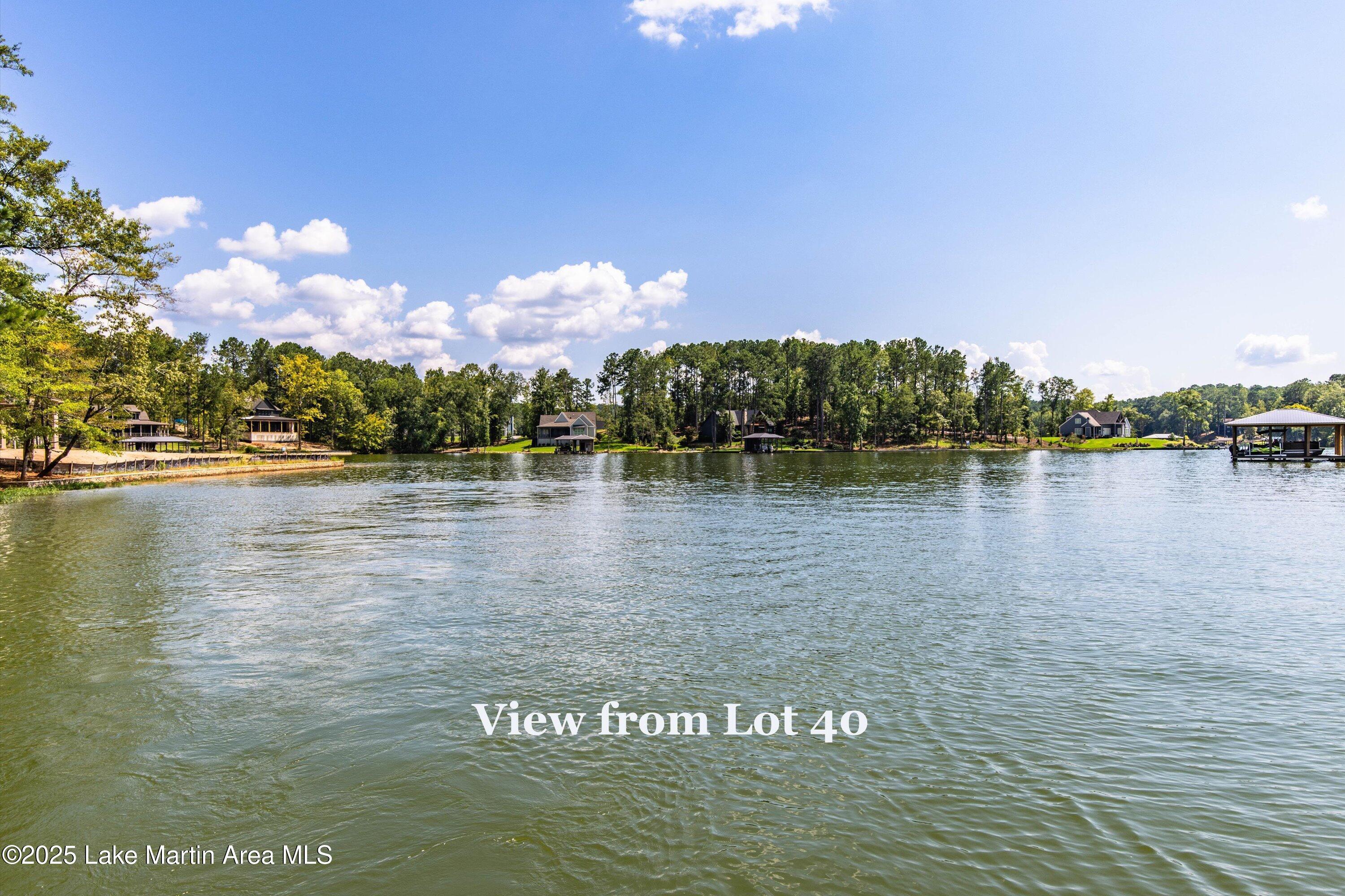 Image 2: 11-Lot 40 view