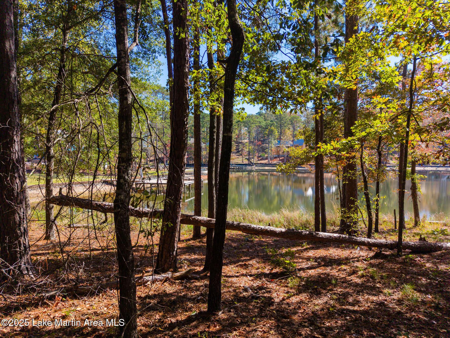 Image 3: Phase 1 Lot 40-11