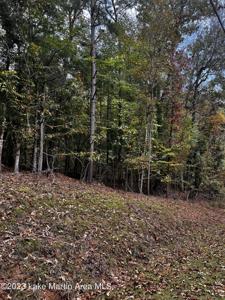 0 WHISPERWOOD Dr
