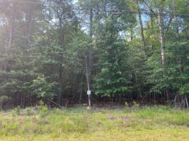 Lot 10 Woodvine Rd
