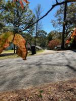 Lots 25 and 26 Raintree Dr