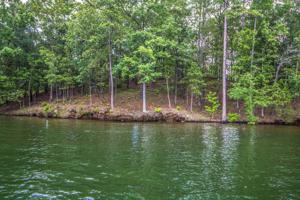 Lot 17 Kennebec