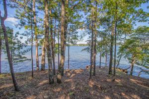 Lot 24 Kennebec