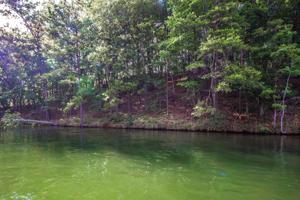 Lot 38 Kennebec