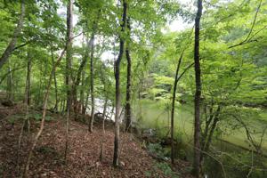 J-348 Dennis Creek Point