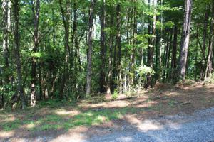 0 Quail Hollow Way