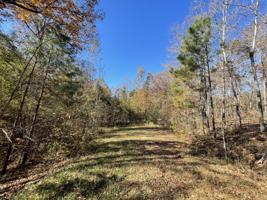 Lots 19 & 20 War Dance Trail
