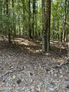 Lot 70 Restful Cove