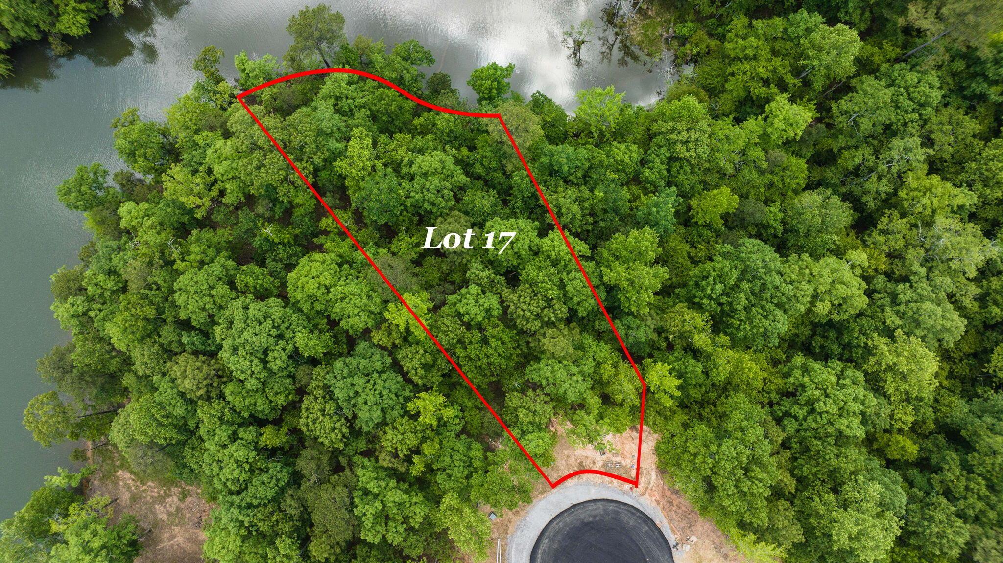 Image 2: SREM_0185-17