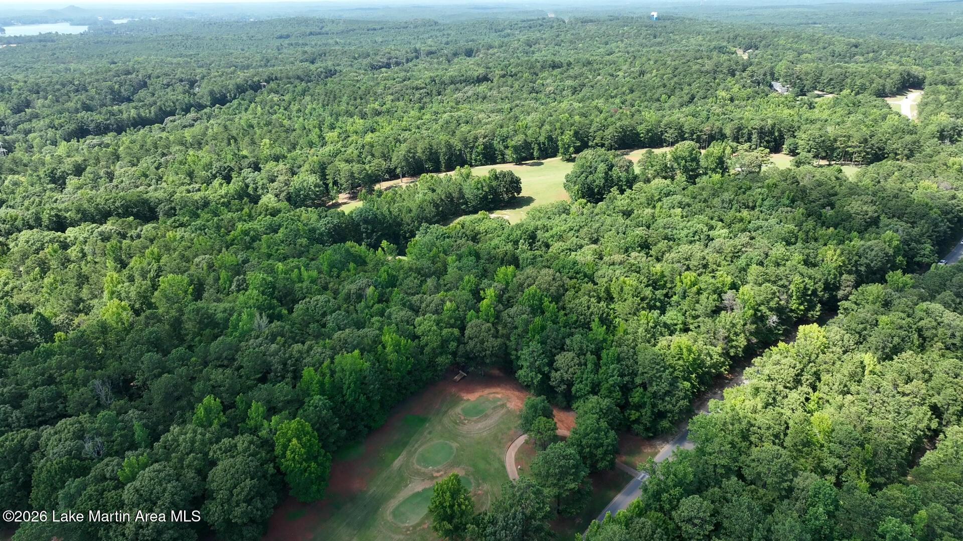 Image 3: DJI_0480-1
