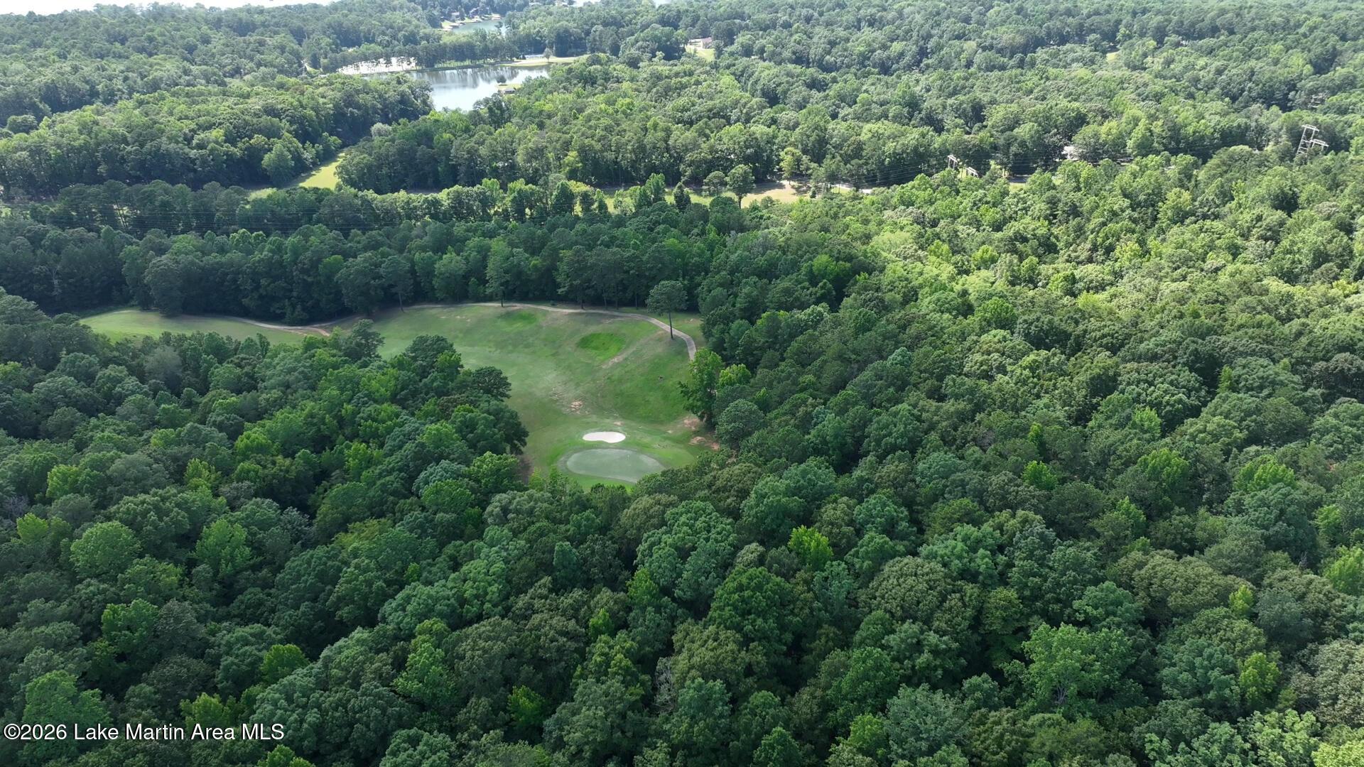 Image 4: DJI_0481-1