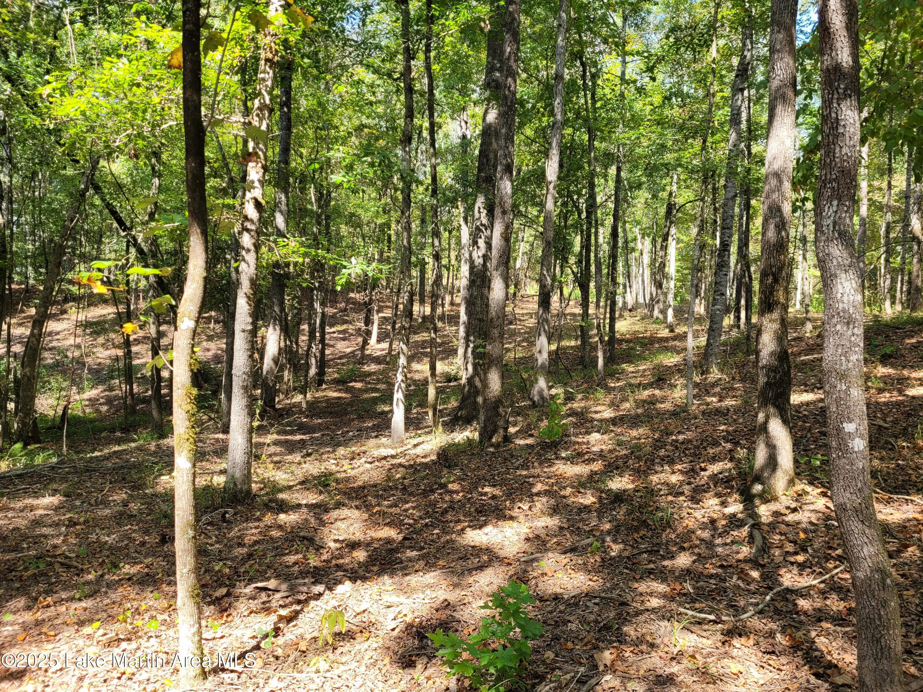 Image 3: 20250922_111743