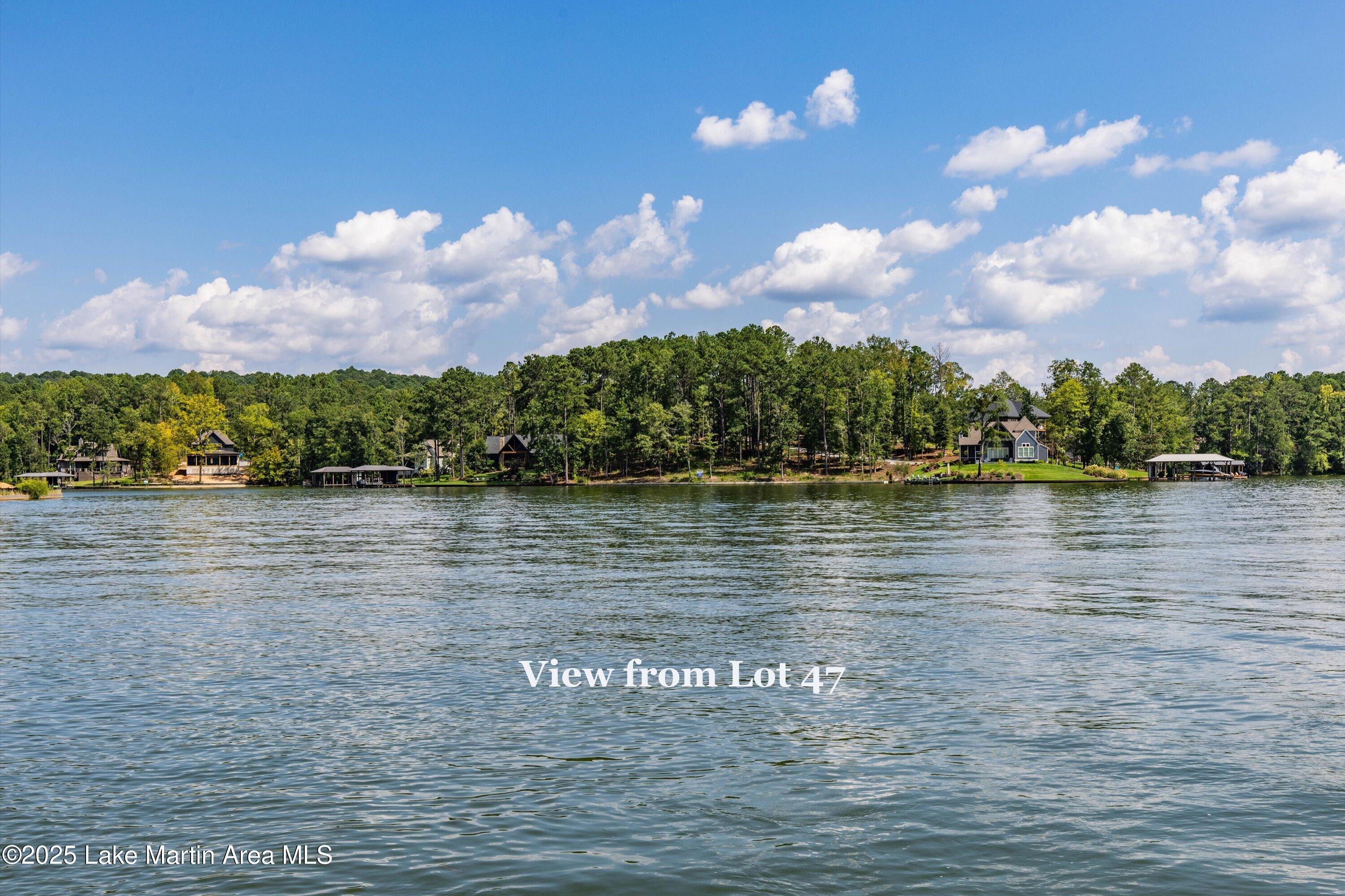 Image 1: 15-Lot 47 view