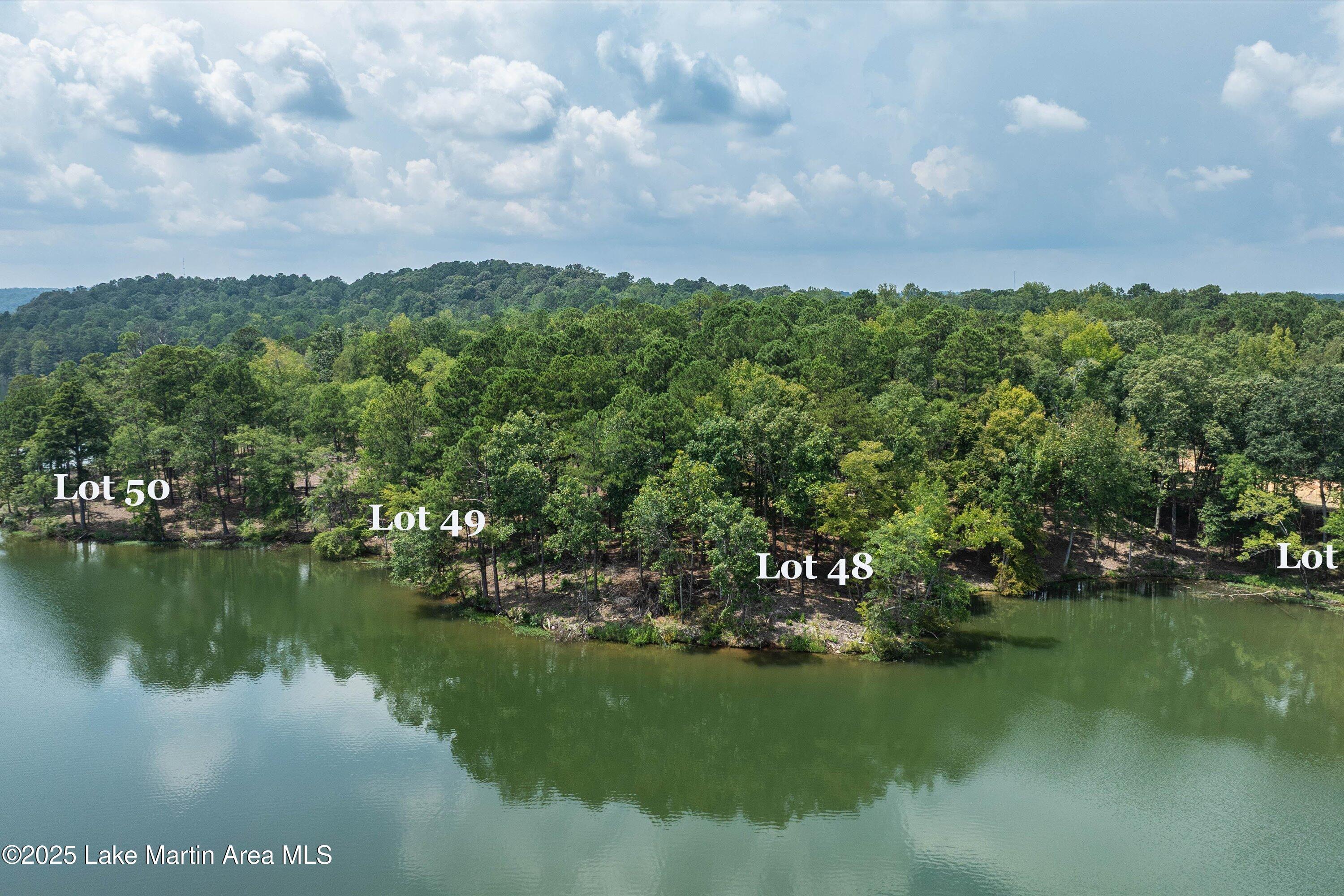 Image 4: 16-Lots 47-50