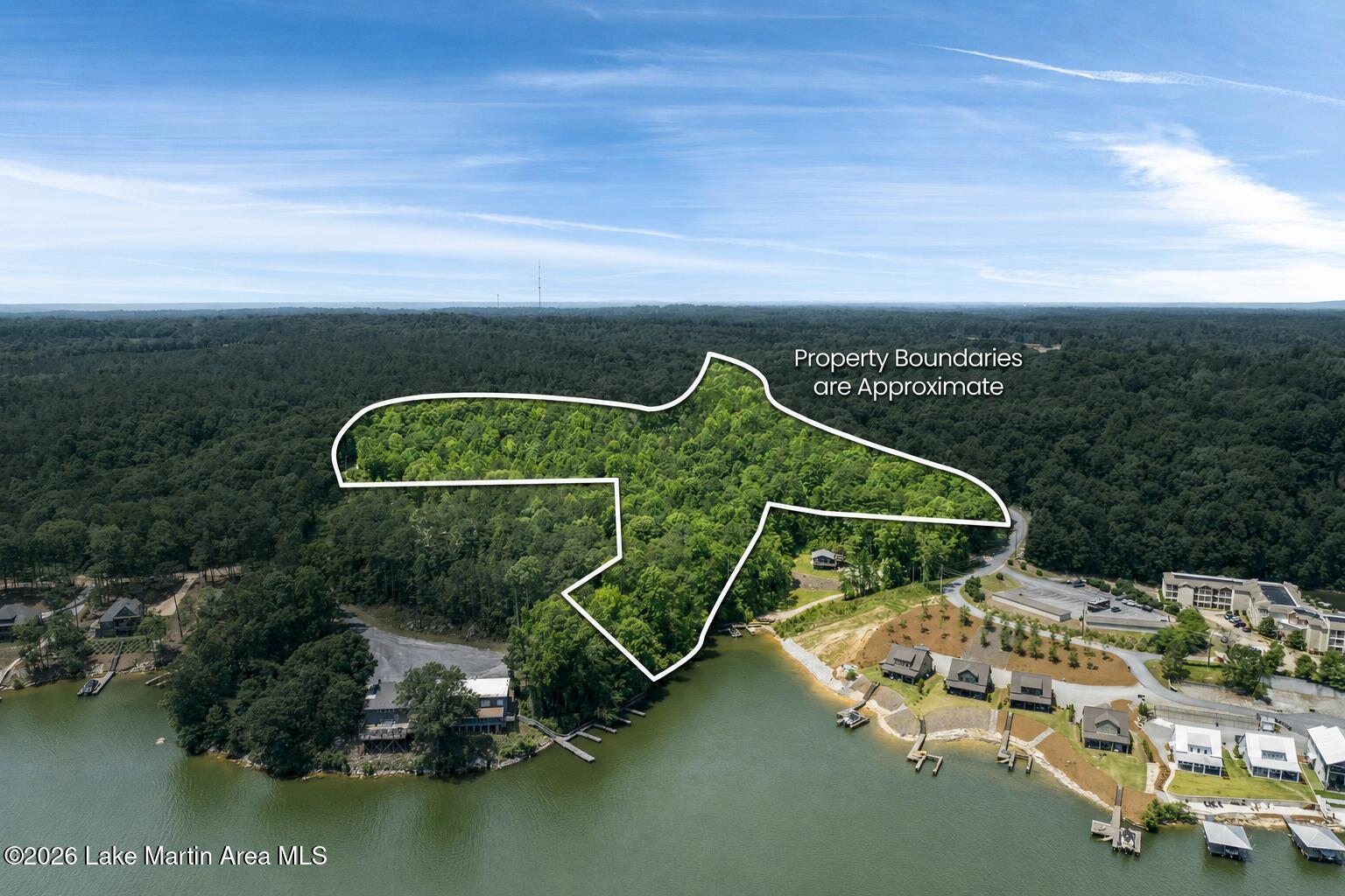 Image 3: MLS 1