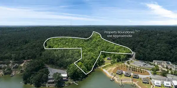Image 3: MLS 1