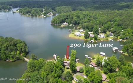 290 Tiger Ln
