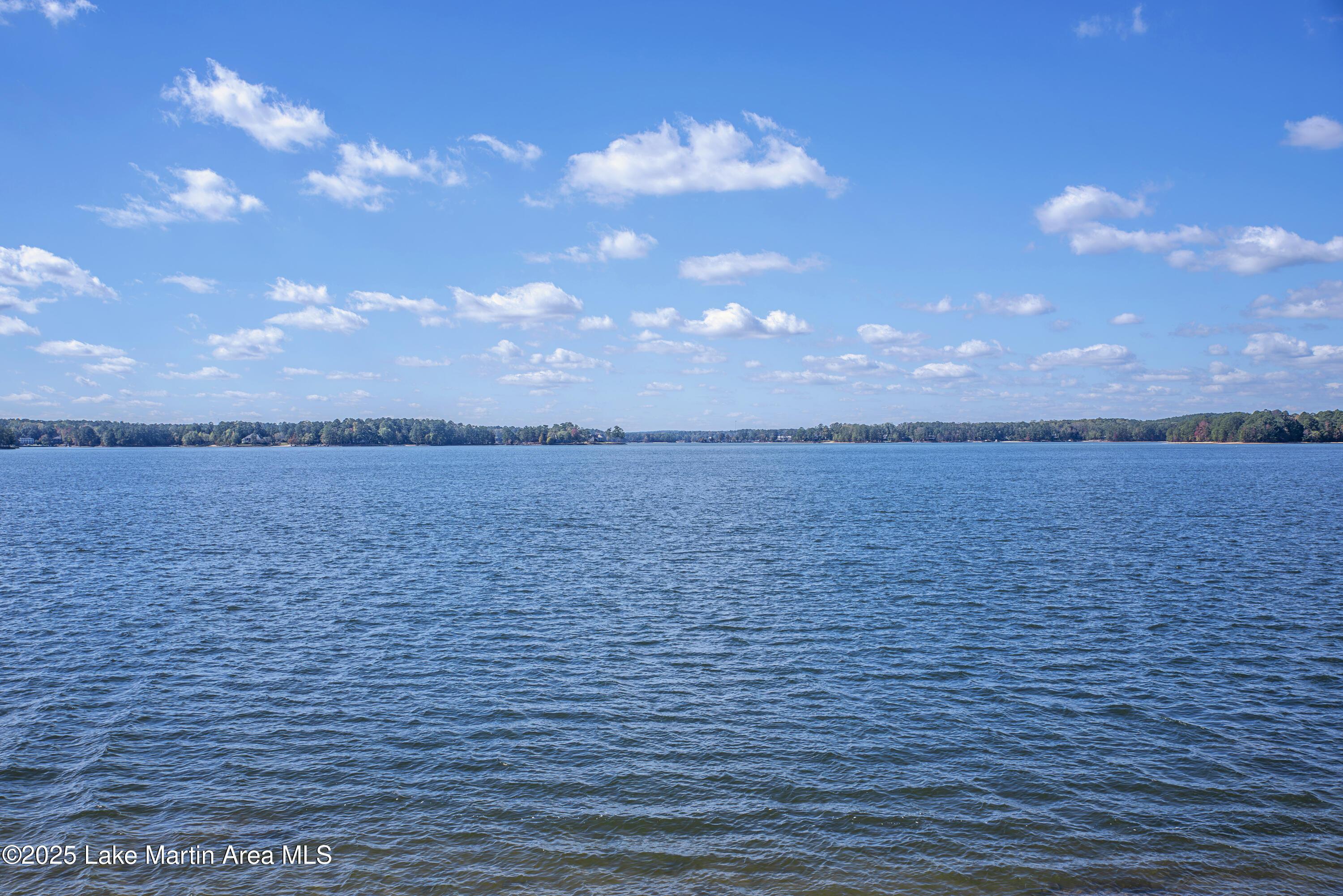 Image 2: Panoramic Lake View