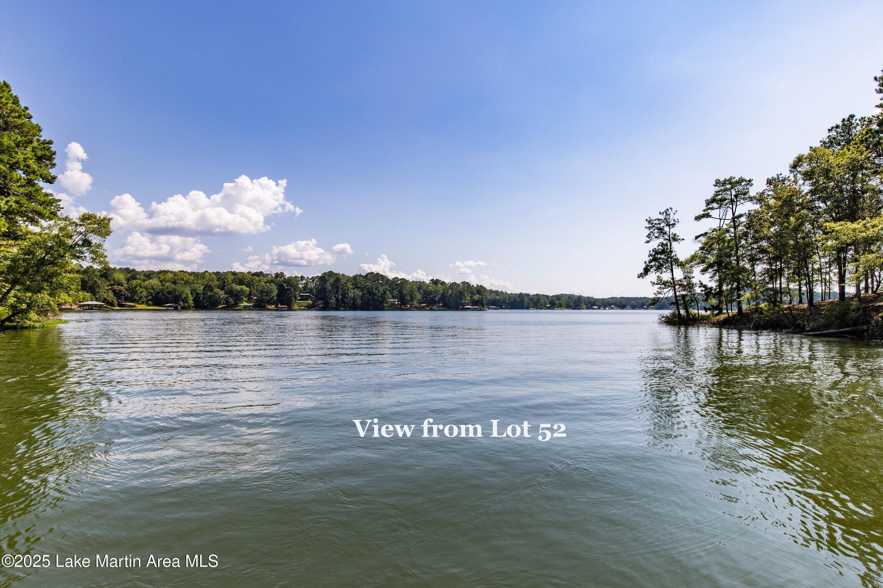 Image 2: 31-Lot 52 view