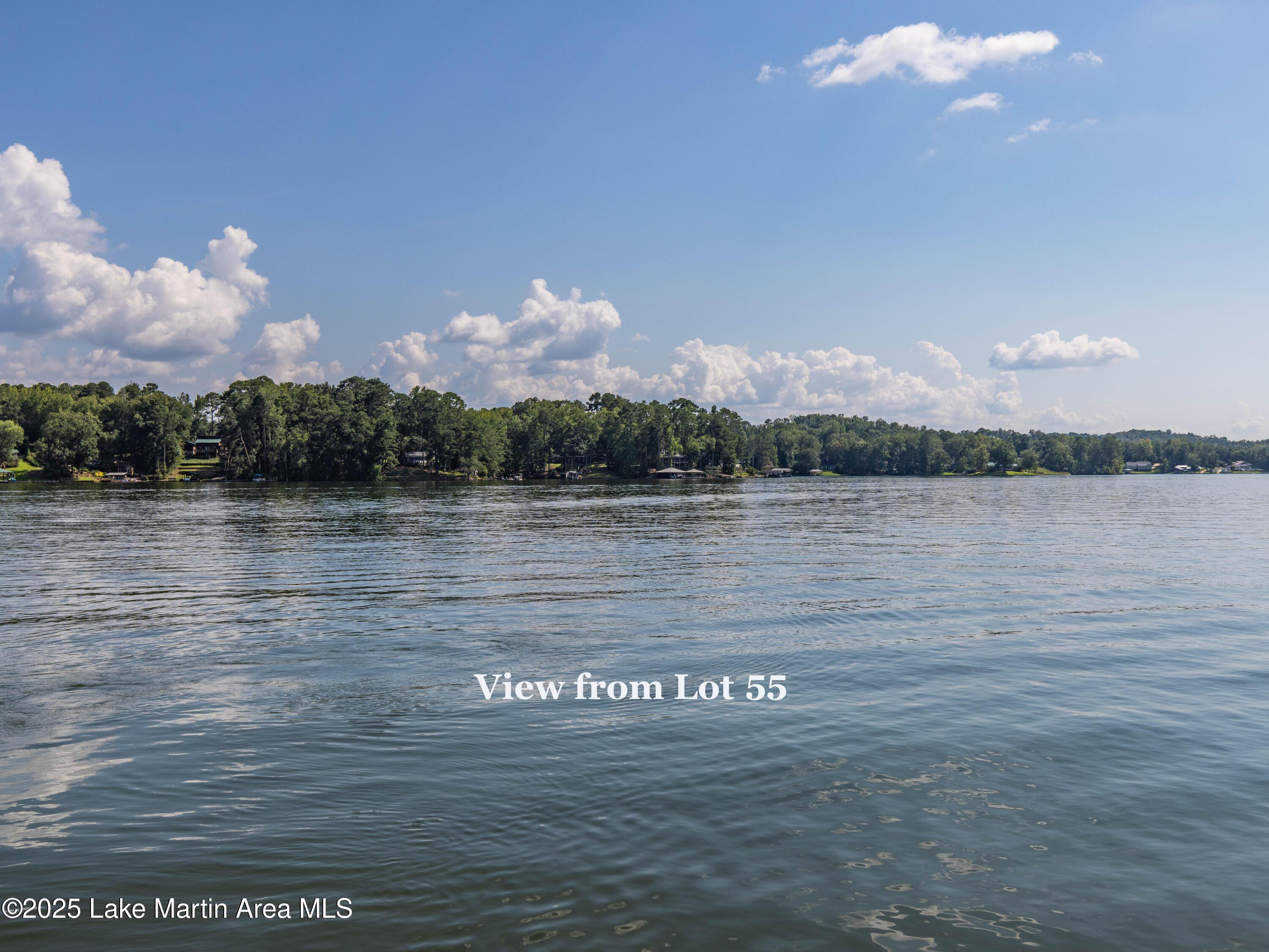 Image 1: 1-Lot 55 view