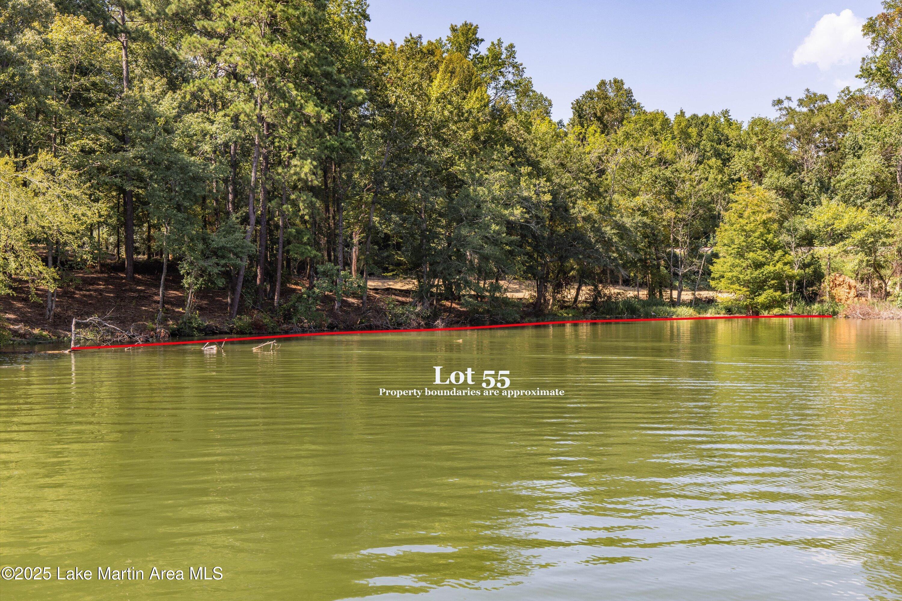 Image 2: 06-Lot 55