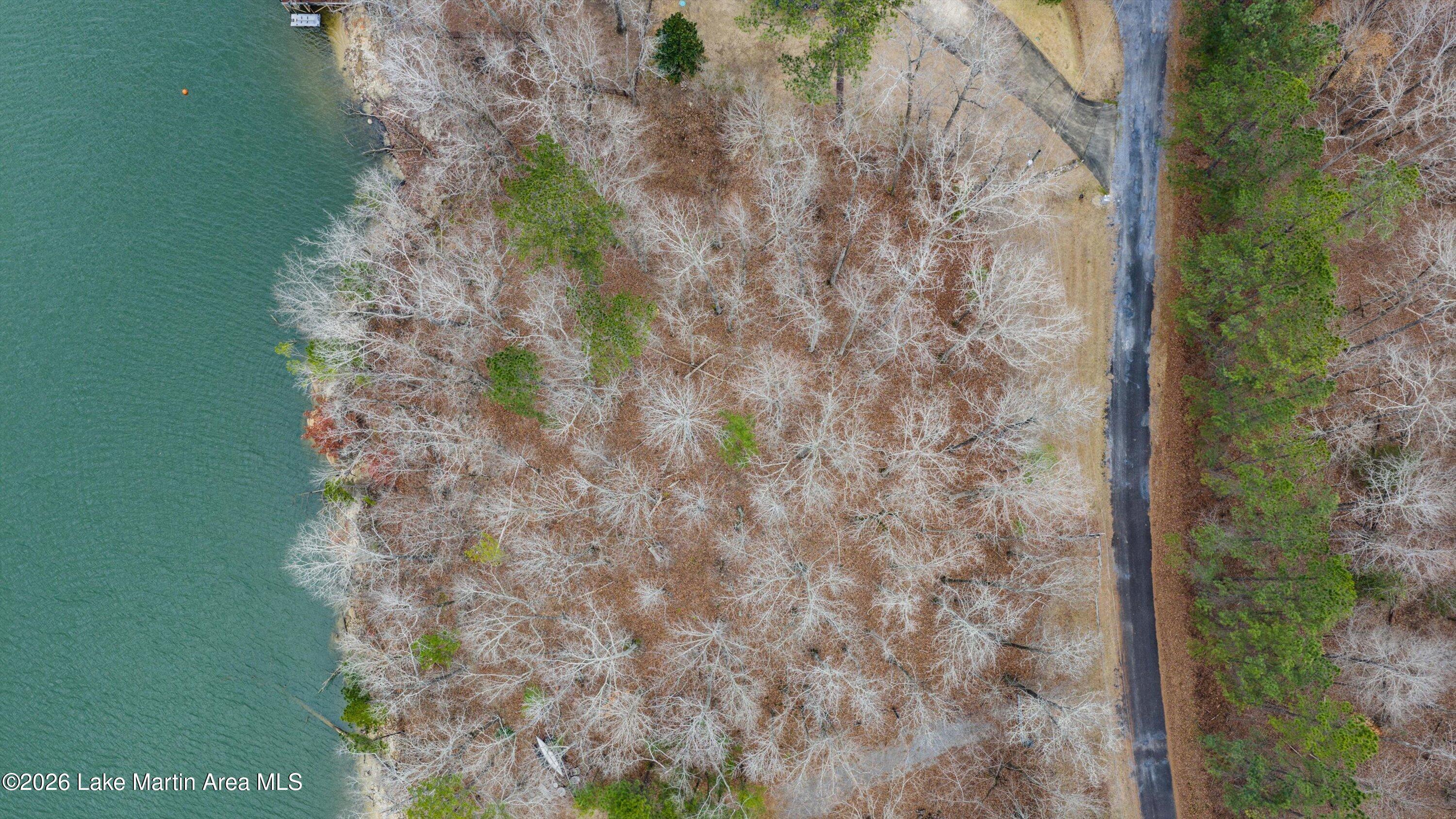 Image 2: Aerial of lot