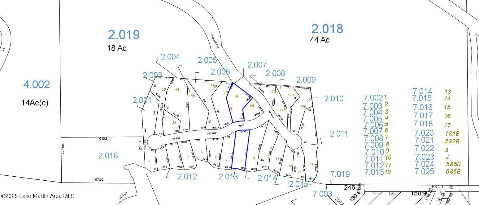 Image 2: TALLAPOOSA_MAP1761164008739