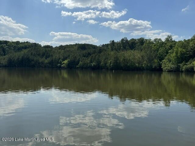 Image 3: IMG_5132