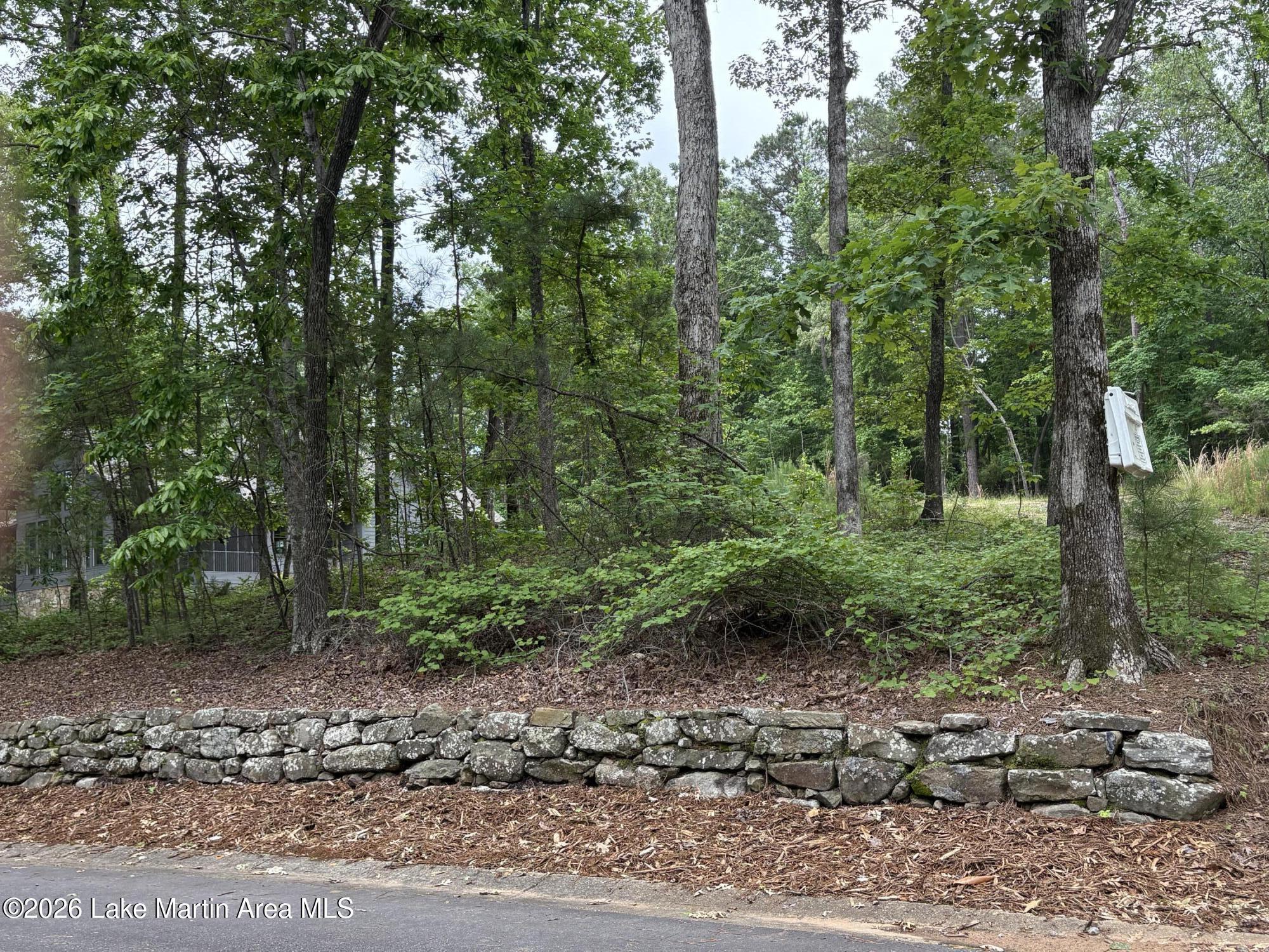 Image 1: Road Side View