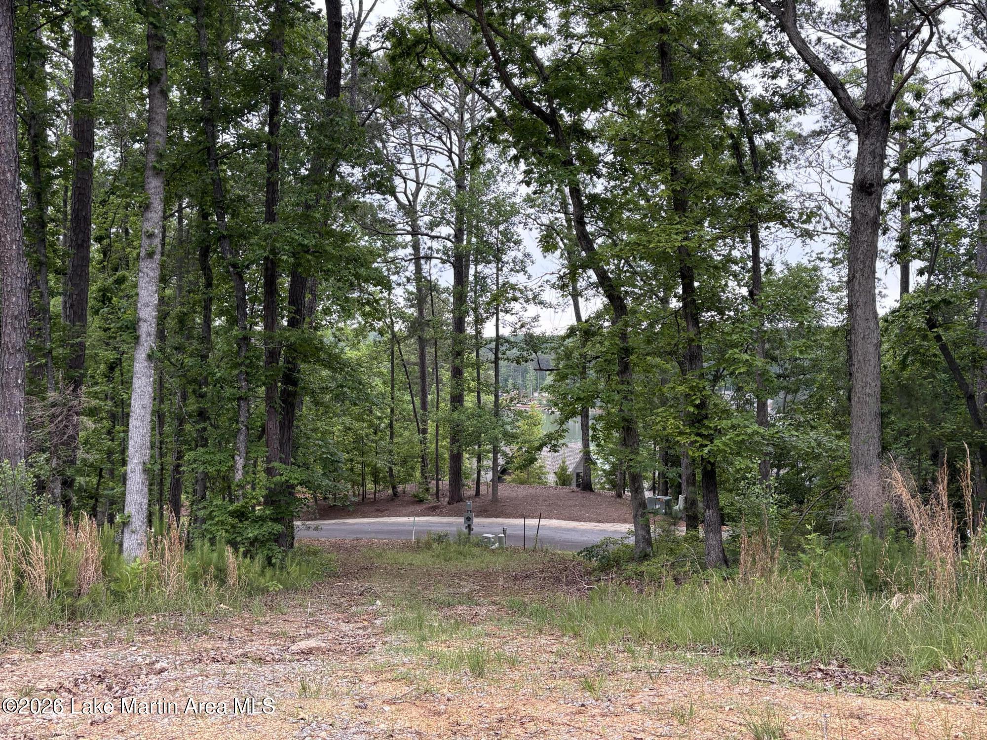 Image 2: Entry