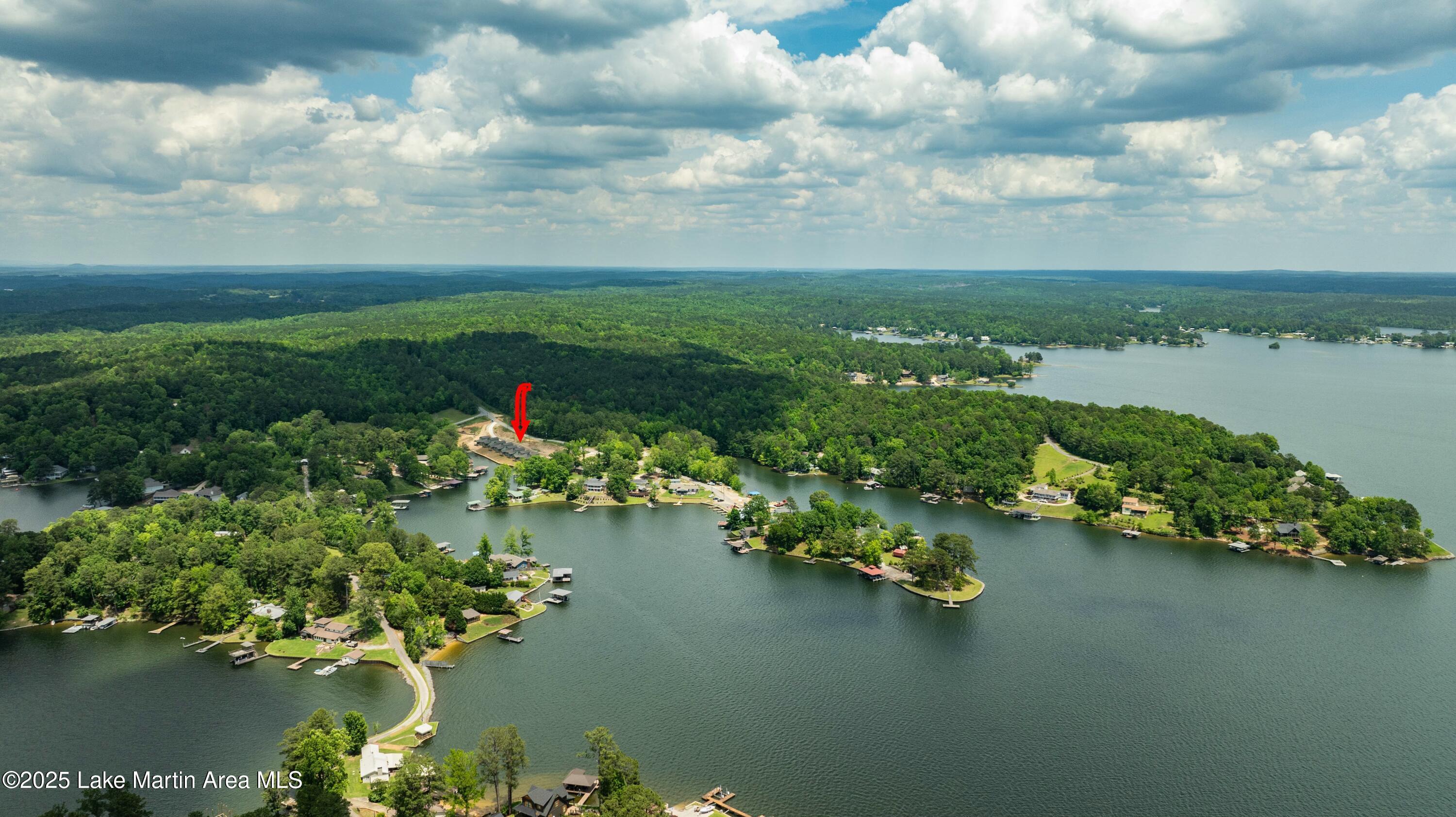 Image 3: Aerial