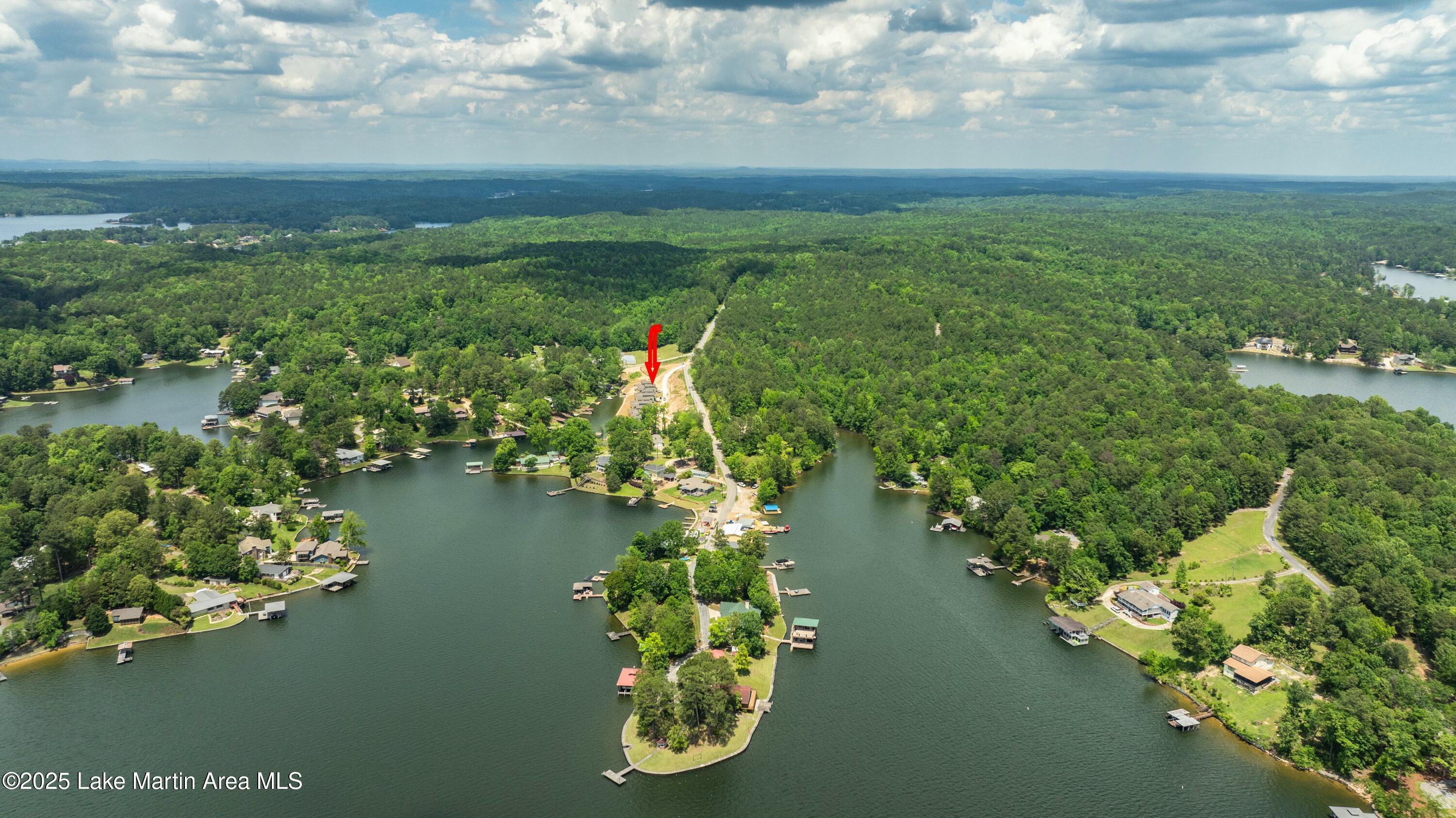 Image 4: Aerial
