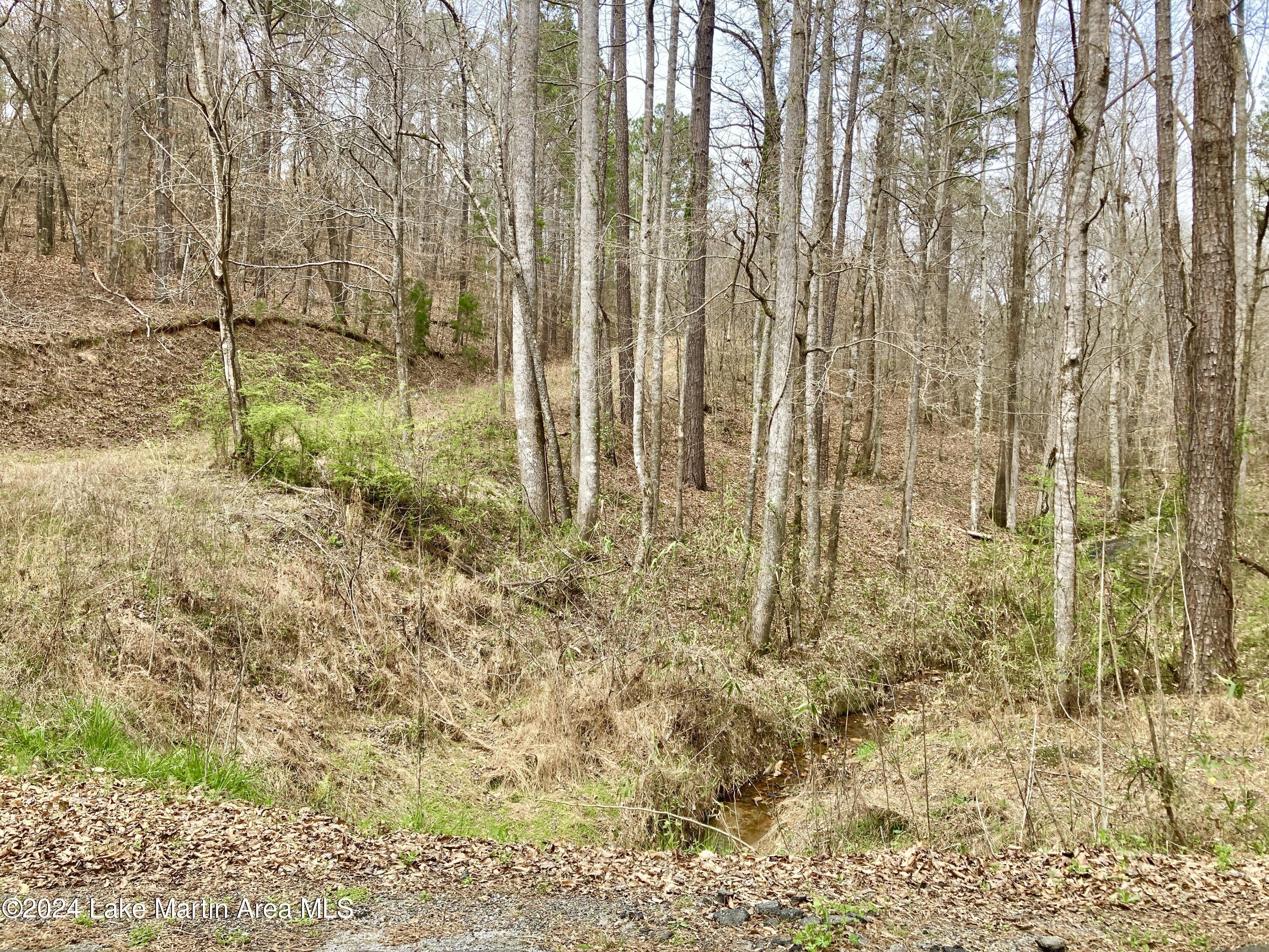 Image 4: IMG_1248