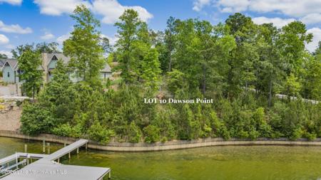 Lot 10 Dawson Pt