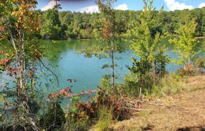 Lot 6 Lakewinds