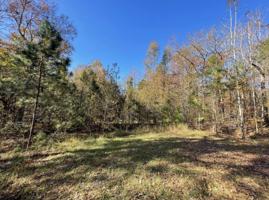 Lots 19 & 20 War Dance Trail