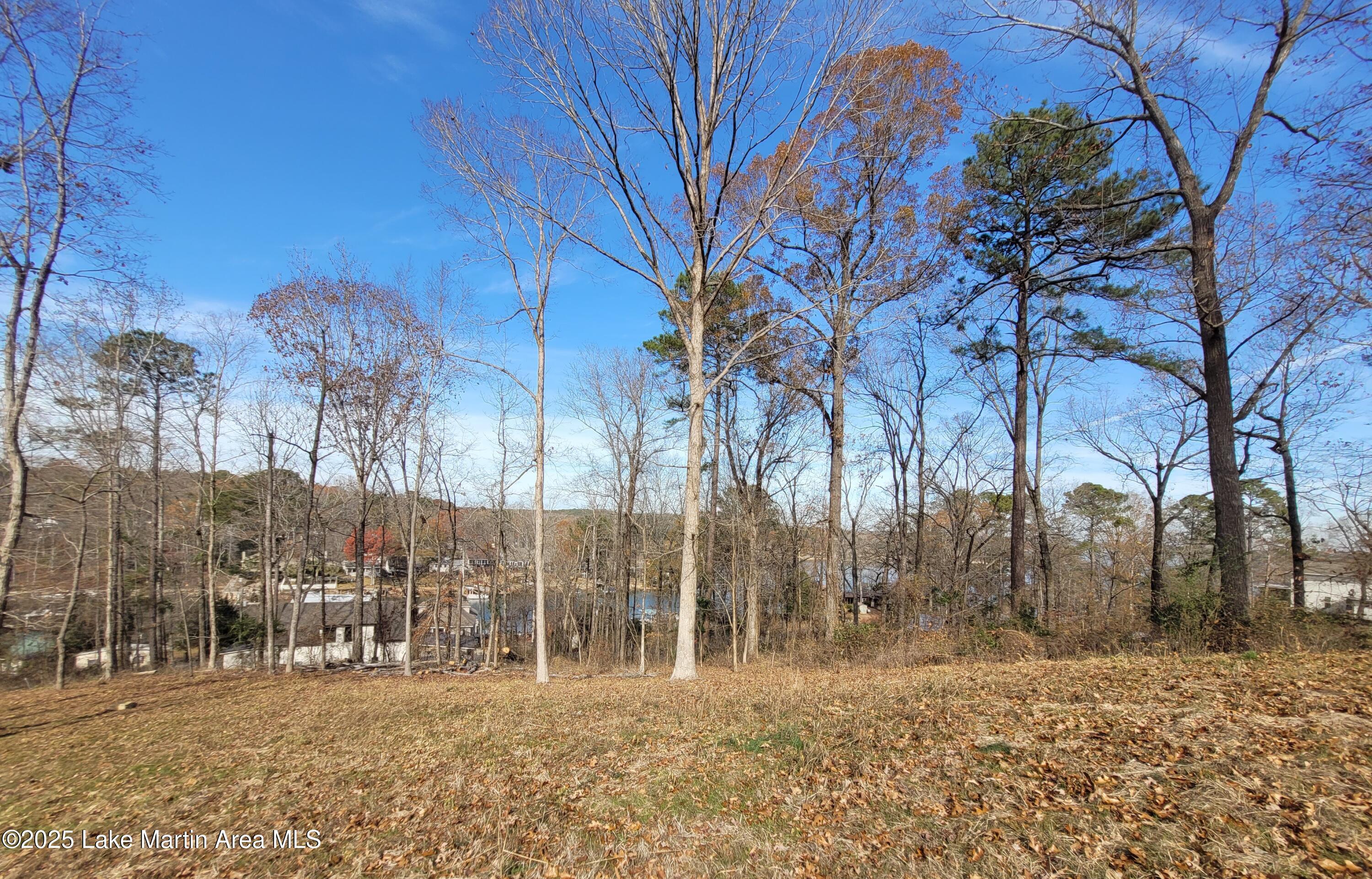 Image 4: 20251217_113752