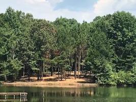 Lot 33 E. Murphy Ln