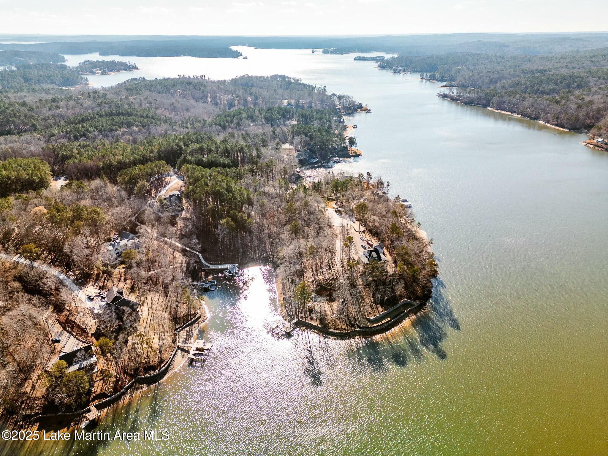 Image 2: Aerial view