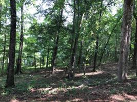 Lot 24/25 Redbird Ln