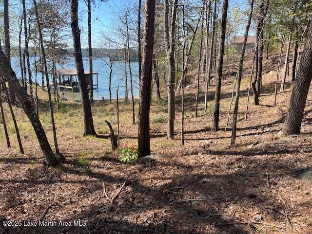 Image 3: pic of view from lot on Woodland