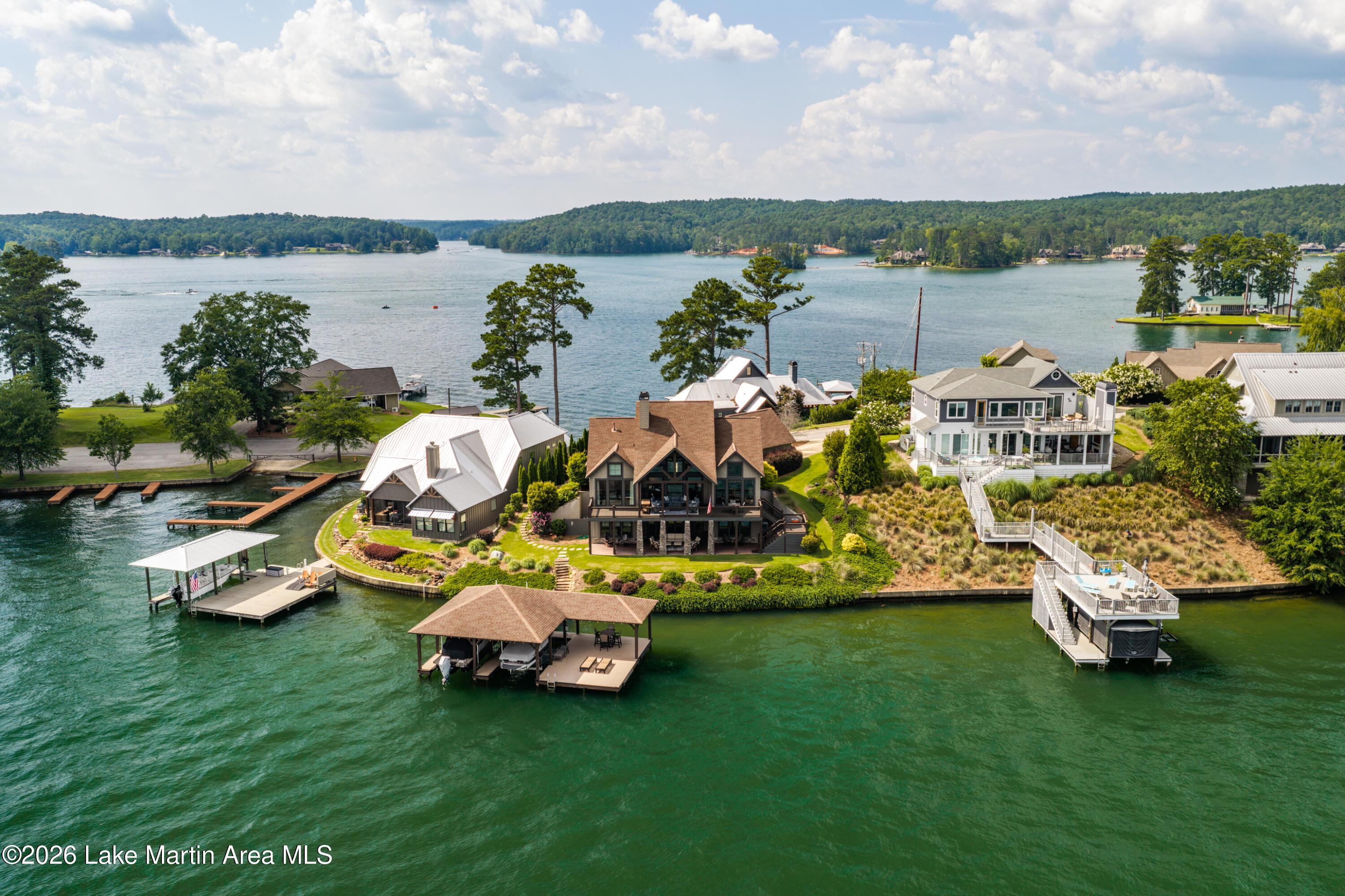 Image 3: 32 Narrows Point - Lake Martin - Alexand
