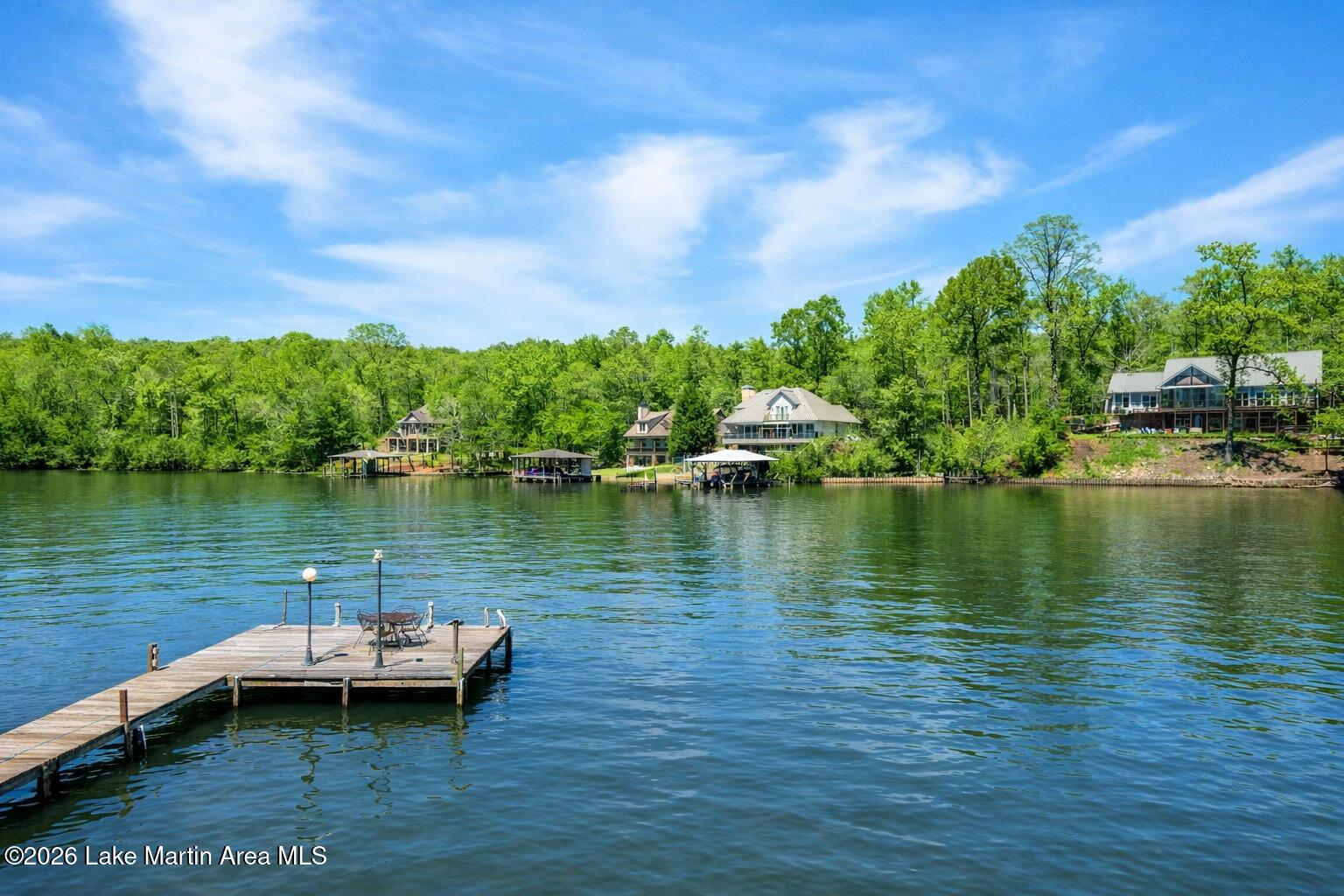 Image 2: Lake at dock