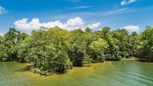 Lot 18 Kennebec