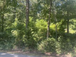 Lot 19 Holiday Drive