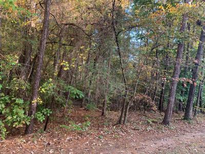 69 Long Leaf Way