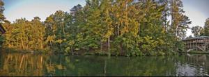131 Teal Pointe Rd