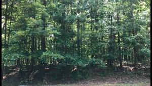 Lot 19 Lakeview Ridge Cir
