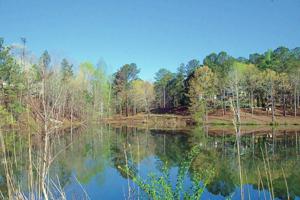 347 Murphy Dam Rd